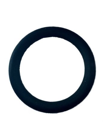 ANEL O-RING - 1610210068